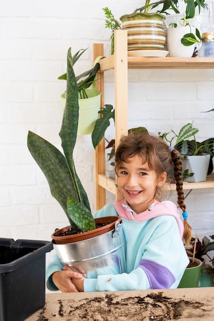 Het meisje zorgt graag voor huisplanten en transplanteert ze in een nieuwe grond en pot omarmt de sappige sansivieria epiphyllum Hobby's voor een kind een volwassene thuis helpen het milieu