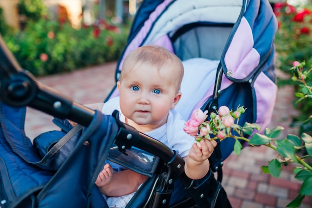 Het meisjeszitting van de baby in vervoer en wat betreft rozen in tuin