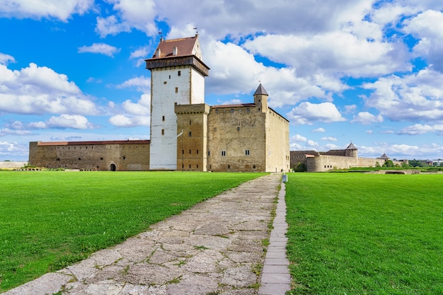 Het middeleeuwse kasteel van Narva met zijn stenen muren en zijn toegangsweg in de groene weide.