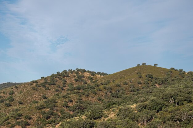 Het Monfrague National Park is een prachtige plek, ideaal voor het observeren van vogels uit Midden-Spanje