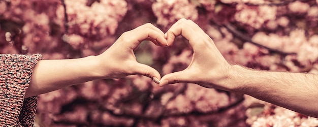 Het mooie jonge paar maakt hart van vingers op de achtergrond van sakura Handen hartpaar Handen van vrouwen en mannen zijn het hart de handen