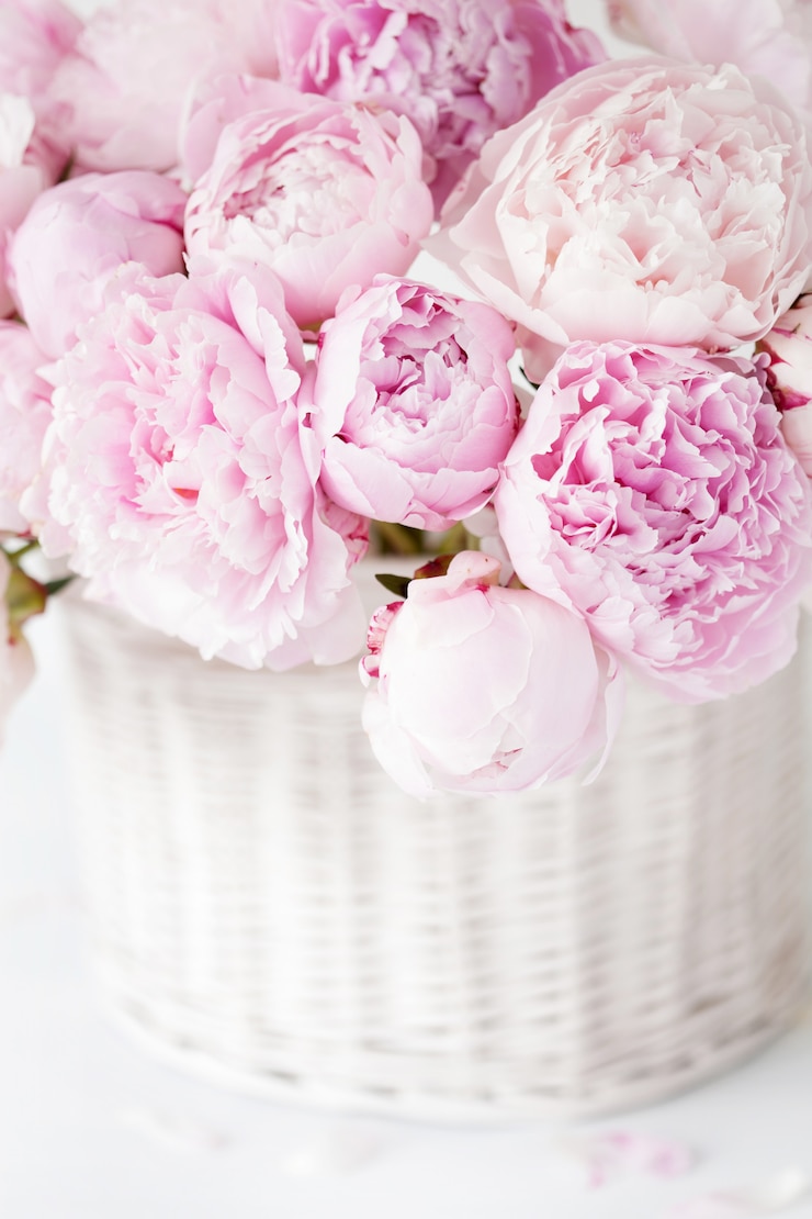 Foto het mooie roze boeket van pioenbloemen in vaas