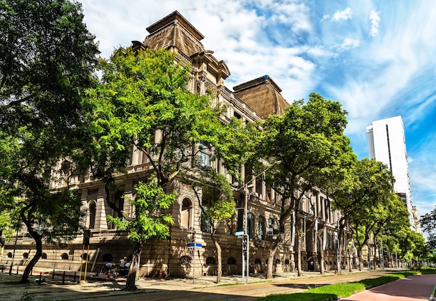 Het Museu Nacional de Belas Artes in Rio de Janeiro, Brazilië