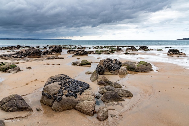 Het natte zand en de met mosselen bedekte rotsen zijn bij eb zichtbaar op een strand in het noorden van Bretagne