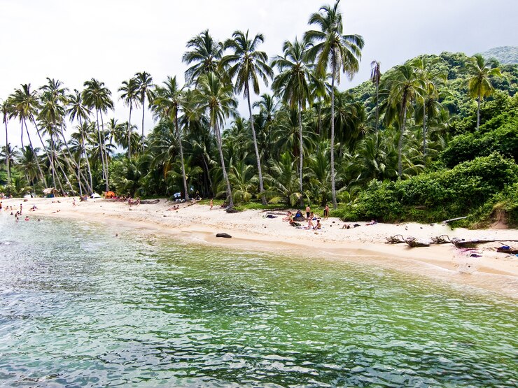 Het natuurpark Santa Marta Colombia