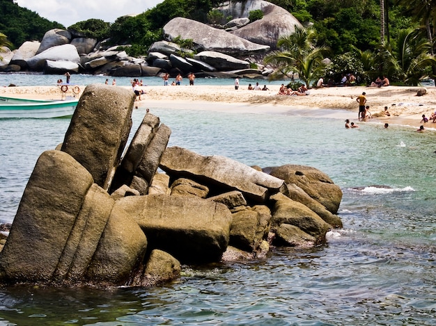 Het natuurpark Santa Marta Colombia