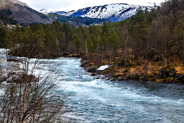 Het Noorse landschap: rivier, bos en bergen