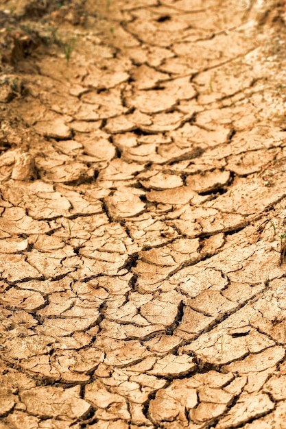 Het oppervlak van de grond is droog en gebarsten