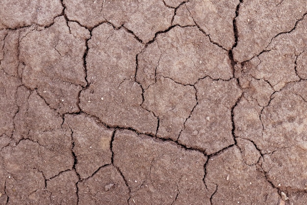 Het oppervlak van de grond is tijdens droogte bedekt met scheuren