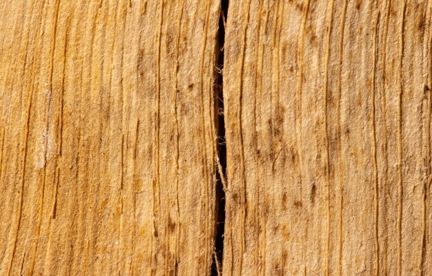 Het oppervlak van een oud gebarsten hout voor natuurlijke achtergrond, in ondiepe focus