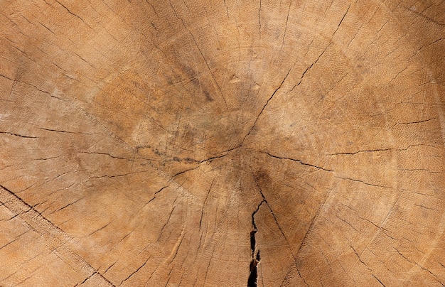 Het oppervlak van een oud hout voor natuurlijke achtergrond