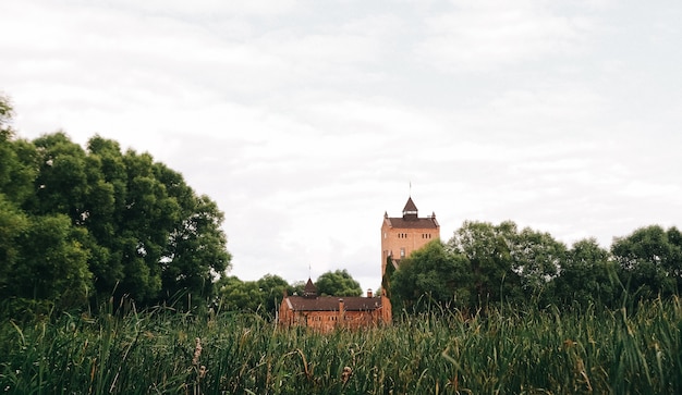 Het oude kasteel bedekt met klimplanten stijgt op aan de oever van het meer