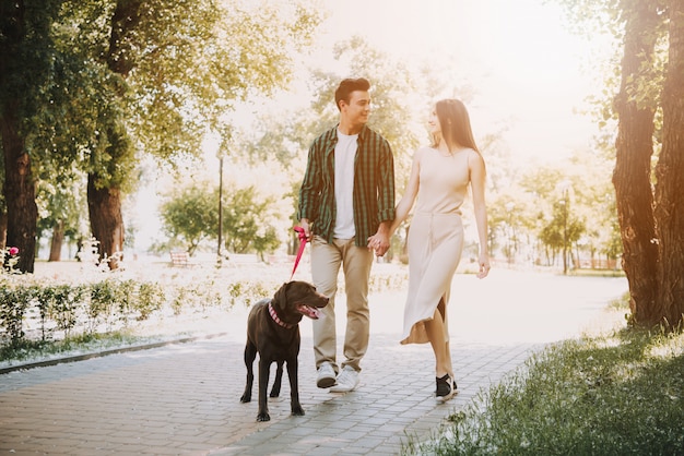 Het paar loopt met hun hond in de zomerpark