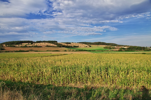 Het panorama van velden in Beieren, Duitsland