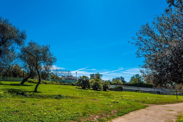 Het park van Monserrato Sassari in zonnige dag