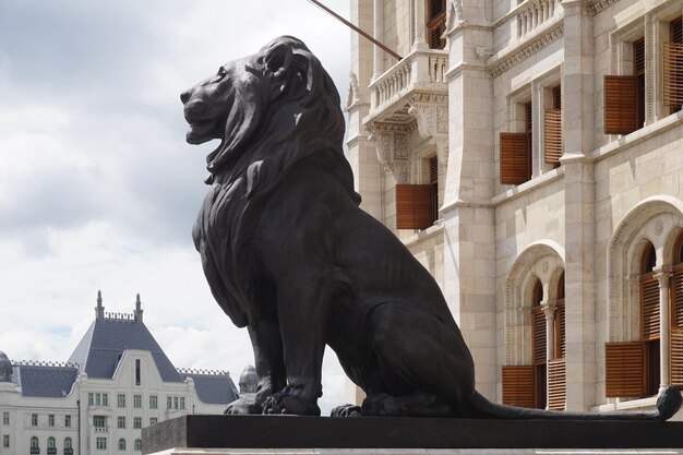 Het Parlement van leeuwstandbeelden in Boedapest Hongarije