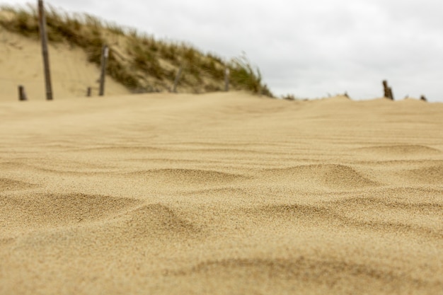 Foto het patroon van het zand