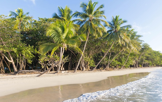 Het pittoreske Caribische strand Martinique eiland Frans West-Indië