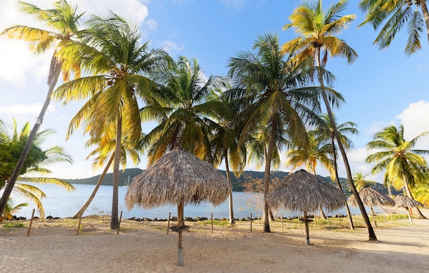 Het pittoreske Caribische strand Martinique eiland Frans West-Indië