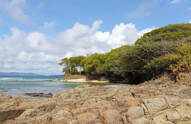 Het pittoreske Caribische strand Martinique eiland Frans West-Indië