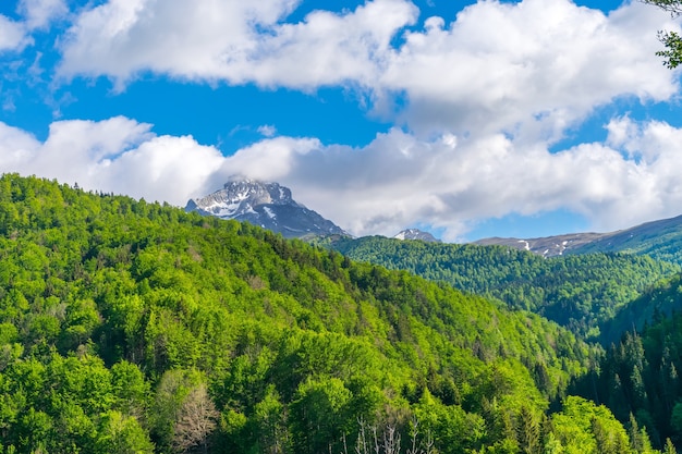 Het pittoreske Komovi-gebergte ligt in het oosten van Montenegro.