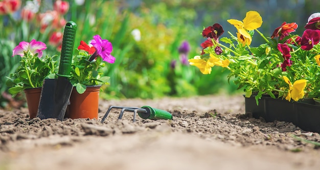 Het planten van een bloementuin, lente zomer. Selectieve aandacht.