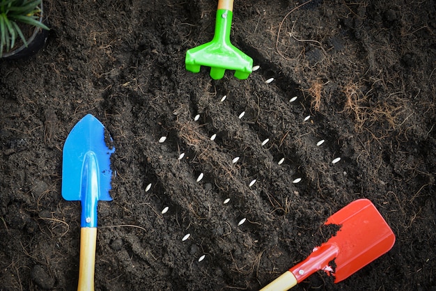 Het planten van pompoenpitten op grond in de kwekerij van de moestuinlandbouw, het Tuinieren werkt