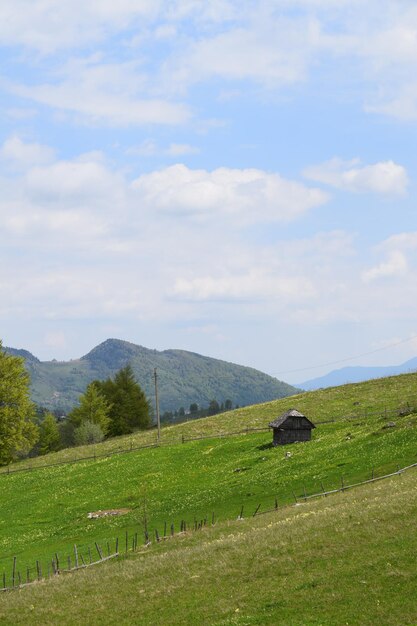 Foto het platteland