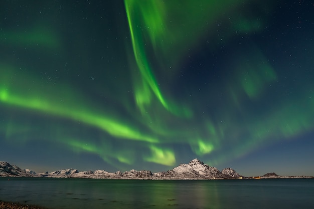 Het polaire arctische noorderlicht jaagt op aurora borealis hemelster in de bergen van de reisfotograaf van Noorwegen