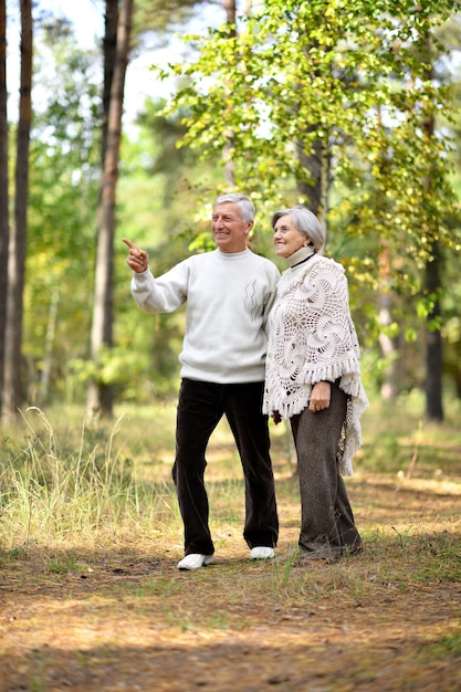 Het portret van een hoger paar maakt een wandeling in het herfstbos