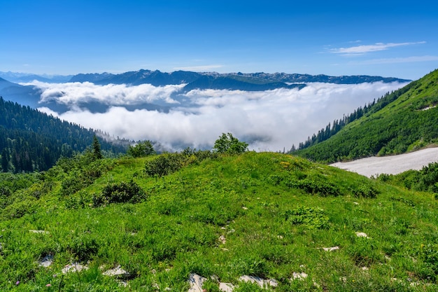 Het prachtige landschap in de tropische bergen