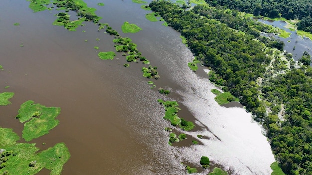 Het prachtige landschap van het Amazonewoud in de Braziliaanse staat Amazonas