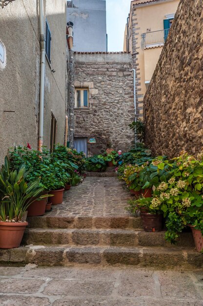 Het prachtige steegje van de oude stad Castelsardo