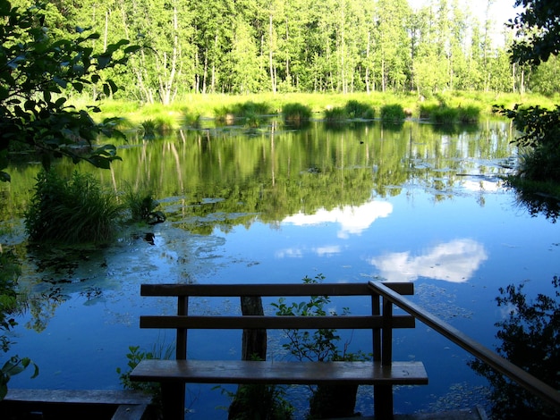 Het prachtige zomerlandschap met het schilderachtige meer