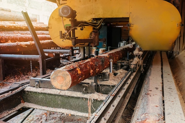 Het proces van het verwerken van logboeken op de uitrusting van een zagerij