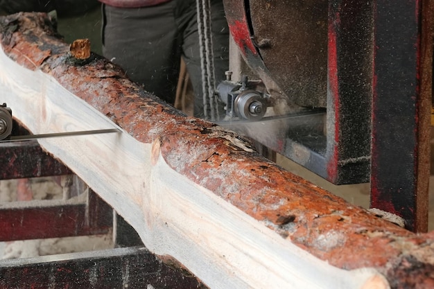 Het proces van het zagen van hout in een zagerij Houtindustrie