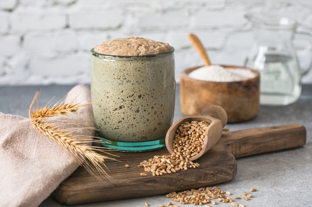 Het rogge-zuurdeeg voor brood is actief starter zuurdesem gefermenteerd mengsel van water en bloem om te gebruiken als zuurdeeg voor het bakken van brood het concept van een gezonde dobbelsteen