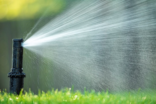 Het roterende mondstuk van het automatische bewateringssysteem besproeit het sappige jonge groene gazongras. Selectieve aandacht.