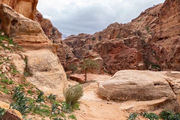 Foto het rotsachtige landschap van zandsteenbergen in de jordaanse woestijn nabij de oude stad petra, jordanië