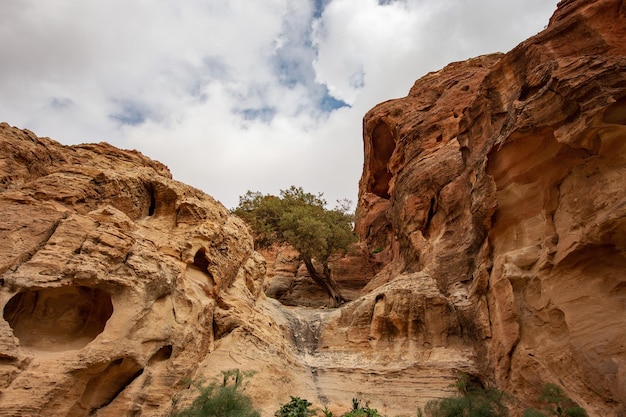 Het rotsachtige landschap van zandsteenbergen in de Jordaanse woestijn nabij de oude stad Petra, Jordanië