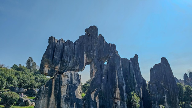 Het rustige landschap van het stenen bos van Shilin in China