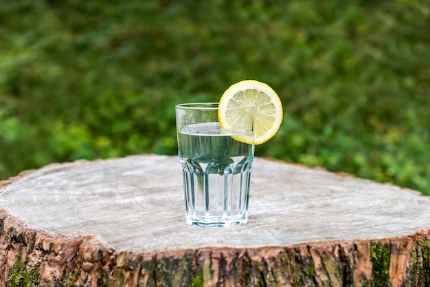 Het schijfje citroen op een glas water