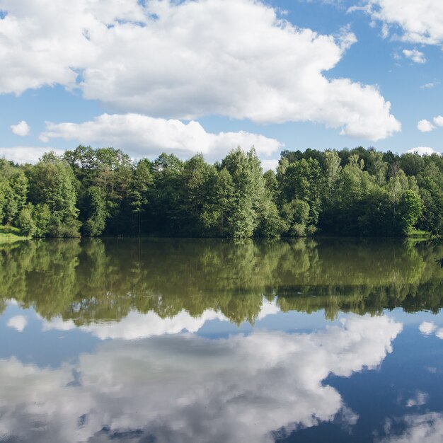 Het schilderachtige meer in de zomer