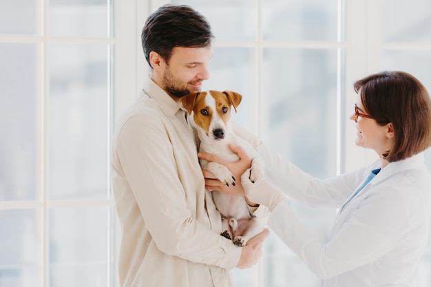 Het schot van dierenarts, de hondeigenaar en de terriër van Jack Russell stellen in dierenartskliniek