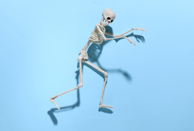 Het skelet sluipt tegen een helderblauw. Halloween-concept