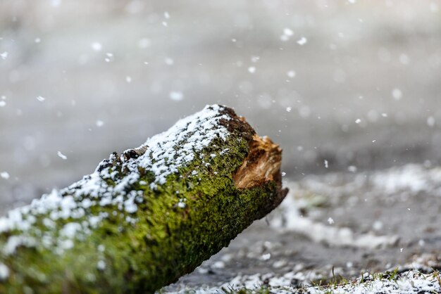 Het sneeuwt koud weer en het vriest aan het begin van het seizoen