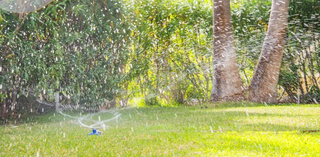 Het sproeiers bespuitende water van het gazonwater over gazon groen vers gras in tuin