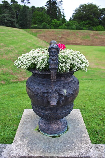 Het standbeeld in Powerscourt Gardens en House Dublin Ireland