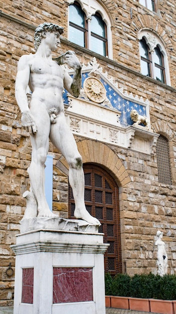 Het standbeeld van david door michelangelo staat buiten op de piazza della signoria in florence.