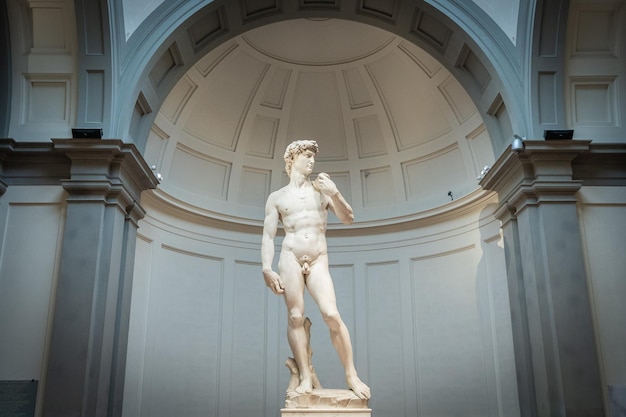 Het standbeeld van David van Michelangelo Accademia Gallery Florence Italië Europa